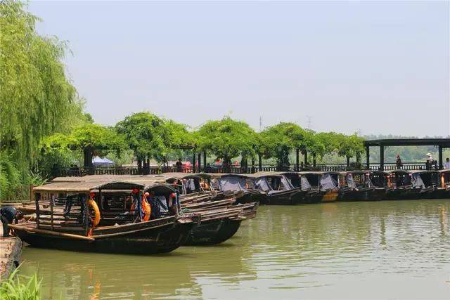 走进常熟沙家浜风景区,游湿地逛老街休闲度假好去处