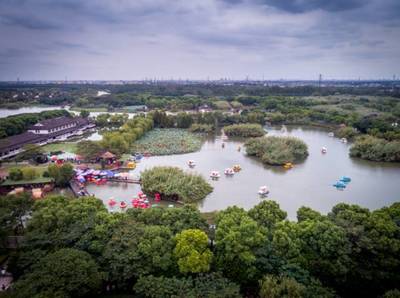 换一个角度,你会看到更惊艳的沙家浜_旅游_网