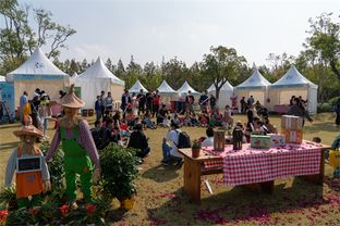 30天吸粉40万，2019长兴岛郊野公园两节圆满闭幕，沙家浜旅游再掀热潮