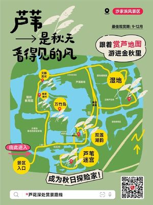 跟着这份赏芦地图,走进沙家浜的秋