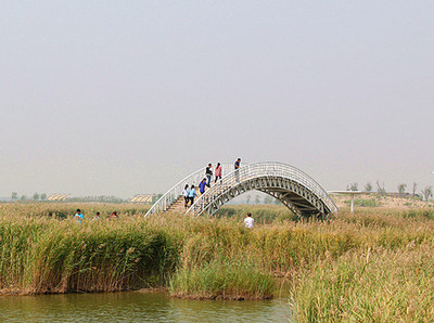 江北“沙家浜”,寿光巨淀湖