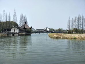 去了江苏,不可错过的旅游景点