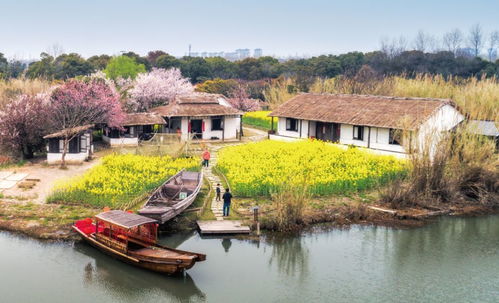 徐报融媒带您 春游 了③ 春暖花开,别来无恙