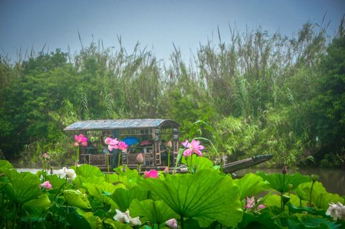 粽 情一夏 我市文旅市场逐渐复苏回暖