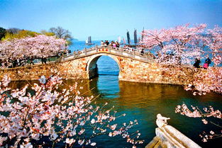 五市 鼋头渚 沙家浜 三大水乡 周庄乌镇西塘 留园双卧七日游1380元 人三门峡起止