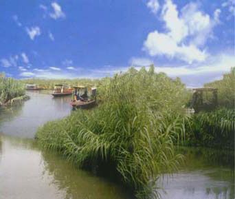 怎样把握去沙家浜的最佳旅游时间