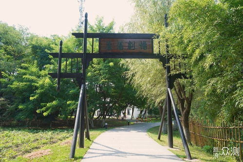 江浙沪周边游 在沙家浜遇见最美打铁花