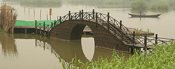 常熟沙家浜旅游全攻略 门票、开放时间与深度游指南