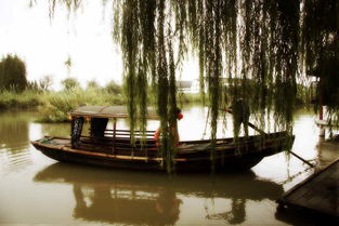 沙家浜一日游 沉浸红色经典，尽享水乡风情