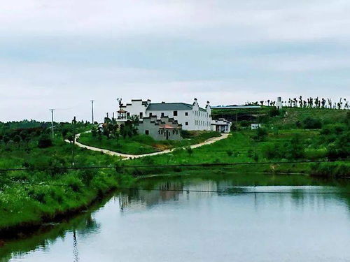 新洲民宿与沙家浜深度游攻略 | 江南水乡的诗意栖居与红色记忆之旅