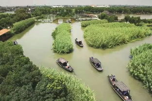 烽火芦荡，青春定向 2019首届华侨城杯沙家浜红色定向赛邀您启程