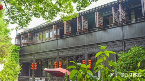 旅行Plog 风起芦苇荡，心动沙家浜
